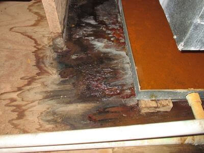 About water damage restoration service - commercial flood cleanup experts in Wheaton